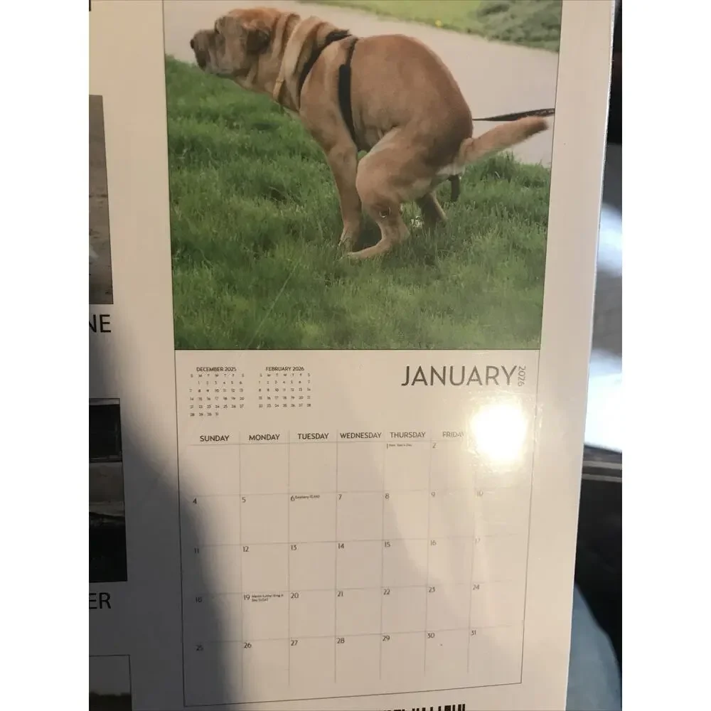 Dog Pooping Calendar 2026, 12 x 12 inch, Funny Gift, White Elephant, Gag Gift...